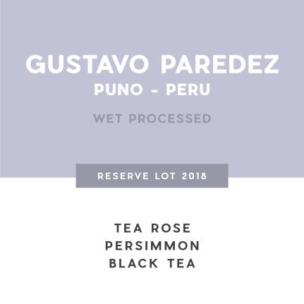 Gustavo Paredez - 2016