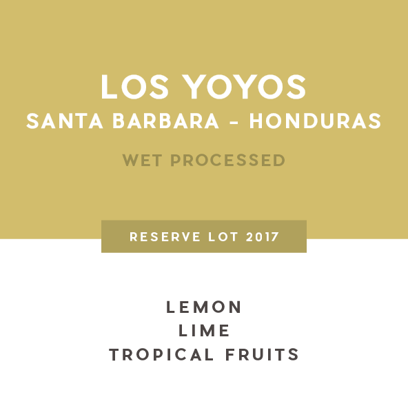 Los Yoyos - 2017 Harvest